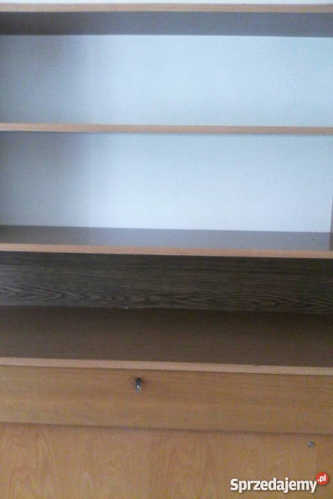 półkotapczan 40cm pomorskie