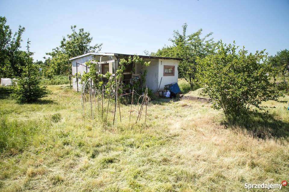 Sprzedam działkę rekreacyjną w Kamieńcu Kamieniec Wrocławski
