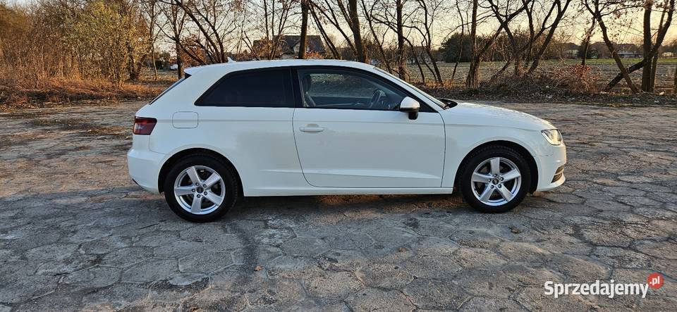 Audi A3 16 TDI 105 6 biegów 167 Łęg Tarnowski