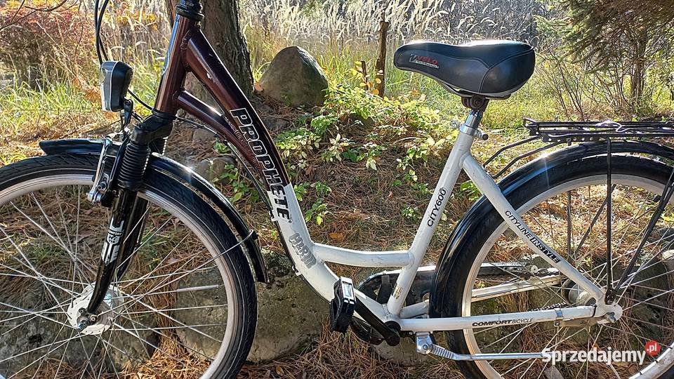 Alu Rower Miejski Damski Prophete City 600 Damka
