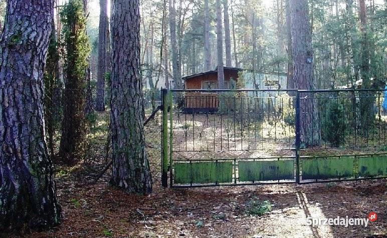 działkę budowlaną w Popowie kSerocka mazowieckie Popowo-Parcele