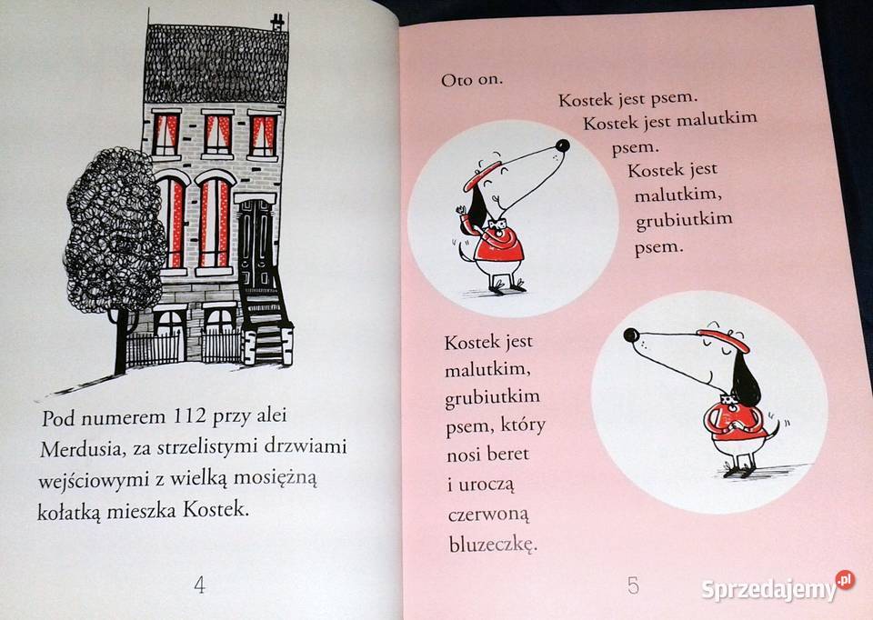 Kostek na wakacjach Alex T Smith Chełm