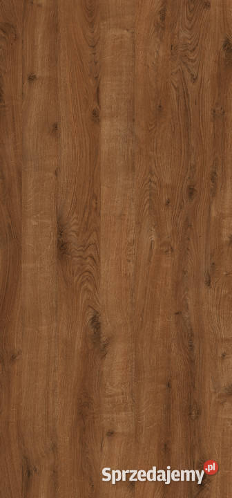 półka 50 x 14 x 18 wenge niewidoczne mocowanie Gorzów Wielkopolski