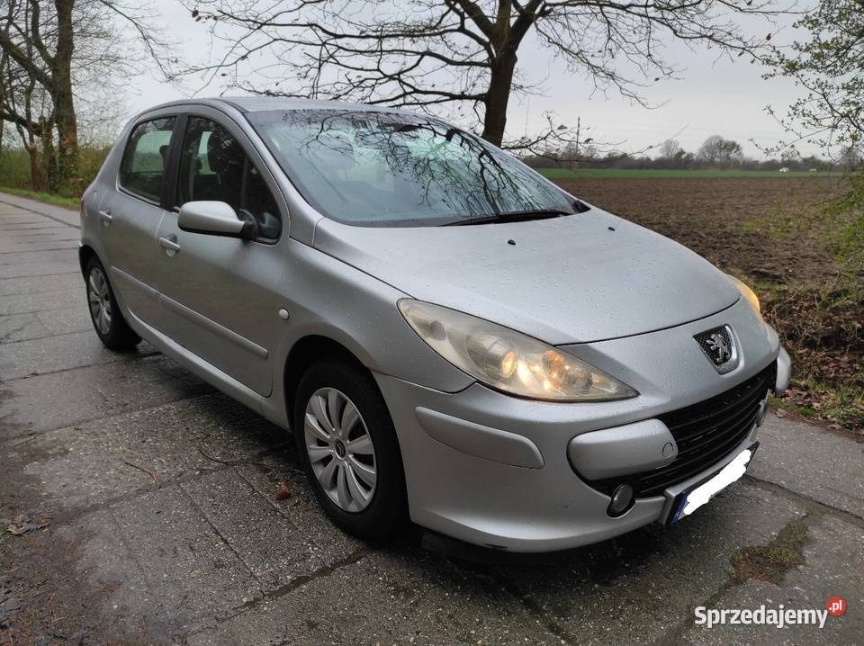 Peugeot 307 16 HDI 2006r Lift Klimatyzacja Racibórz