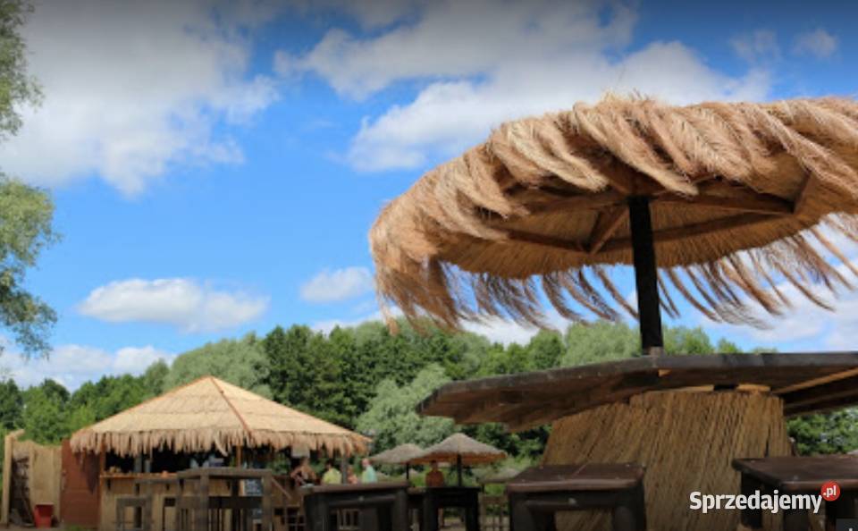 Luksusowy Parasol Hawajski Parasol Tropikalny Wrocław sprzedam