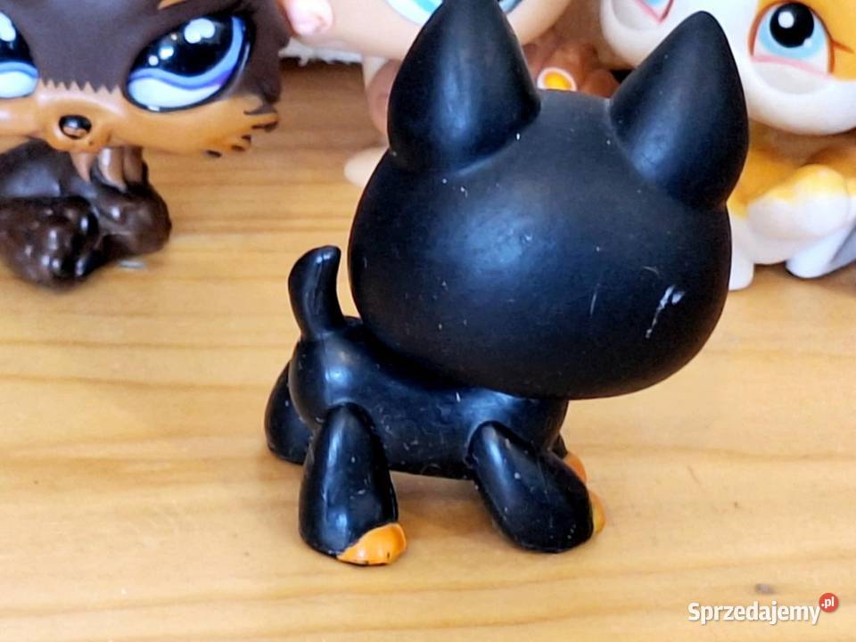 Owczarek niemiecki Littlest Pet Shop warmińsko-mazurskie Braniewo