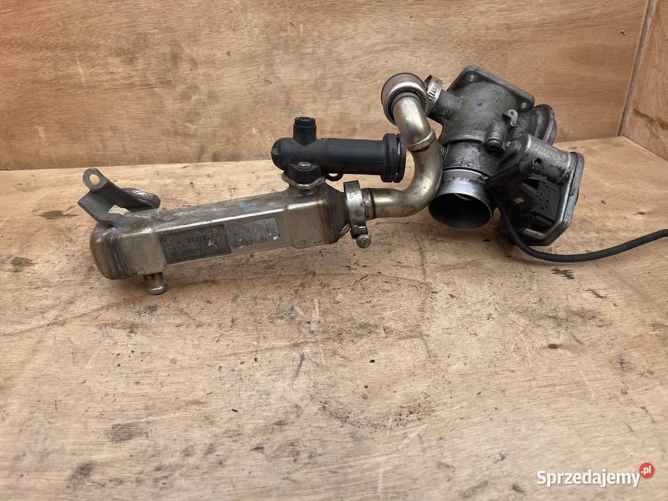 Chłodniczka EGR 335D 286 M57 osobowe Stalowa Wola