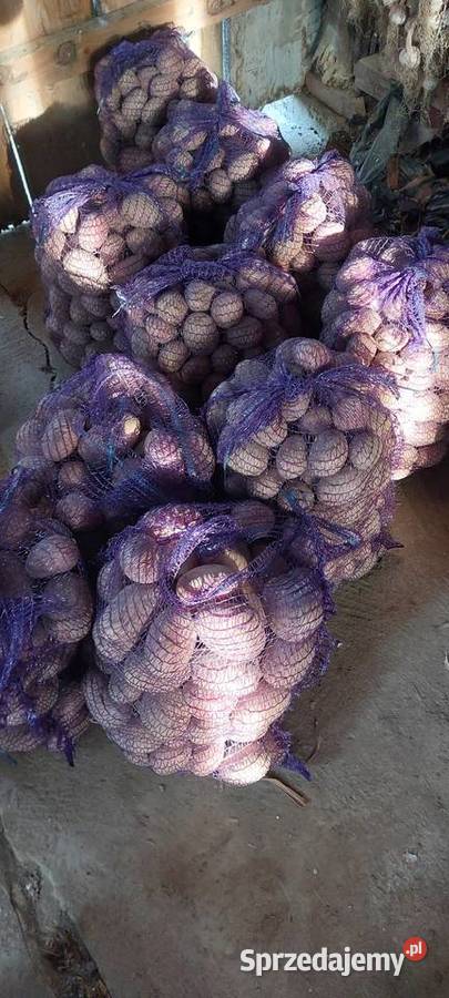 Ziemniaki rolnika świętokrzyskie Kielce