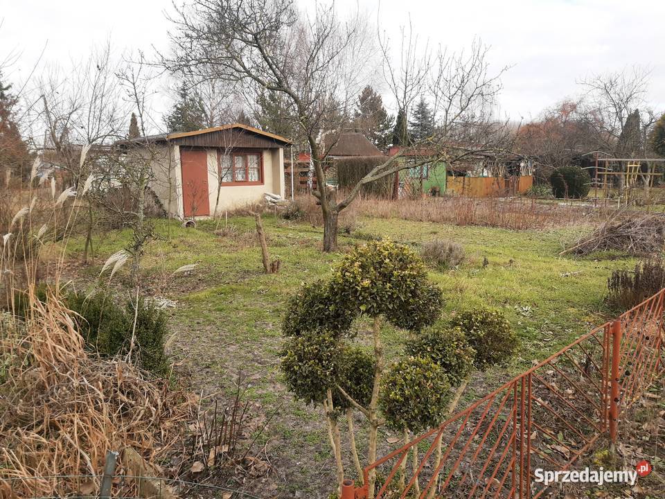 Sprzedam działkę ROD Rawicz Złocie