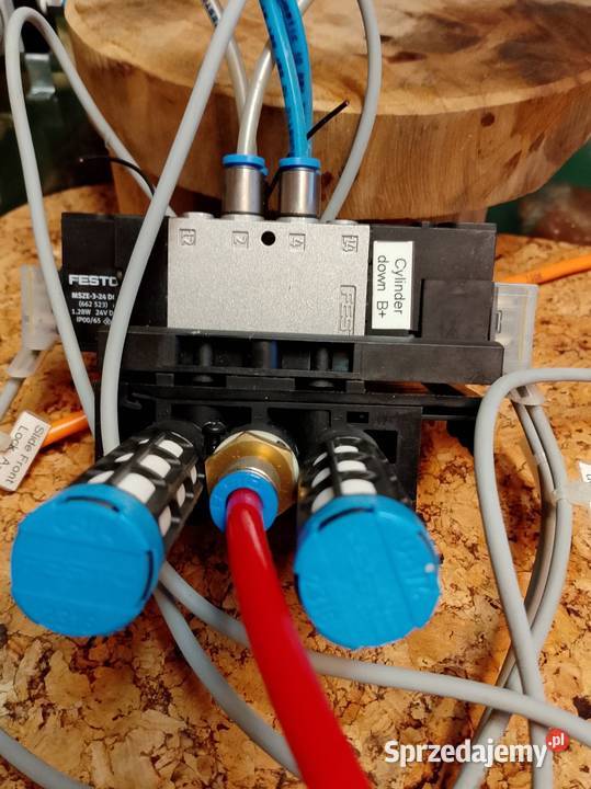 FESTO wielkopolskie Nowy Tomyśl