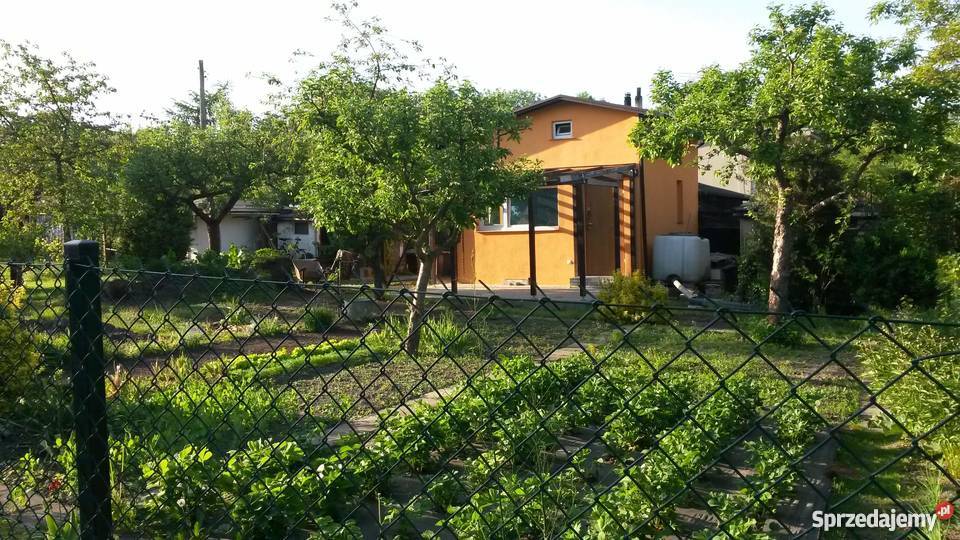 działka ROD z domkiem Lechicka Nieruchomości Poznań sprzedam