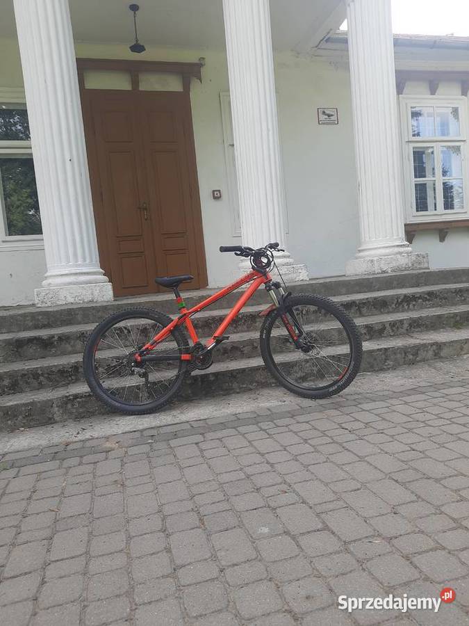 Kellys whip 10 2021 Ignaców