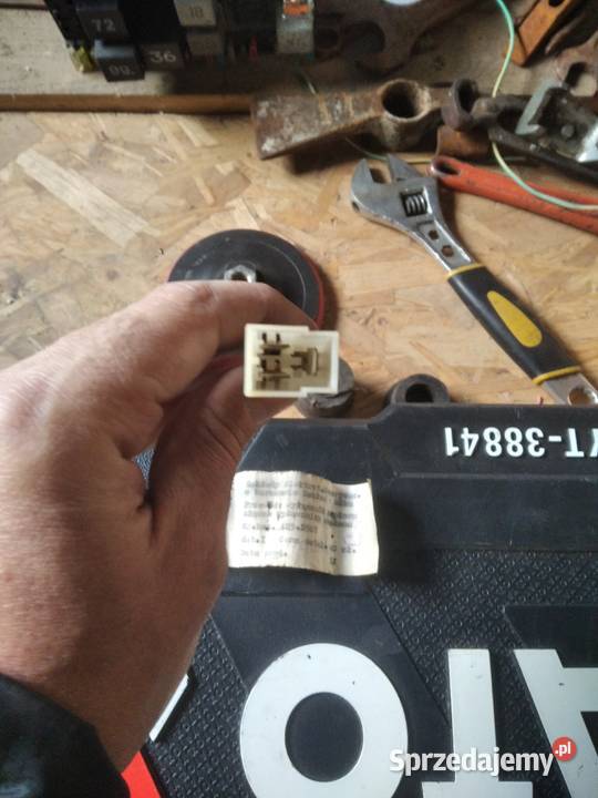 Przewud wyłonczniak zapłonu podlaskie Usza Wielka