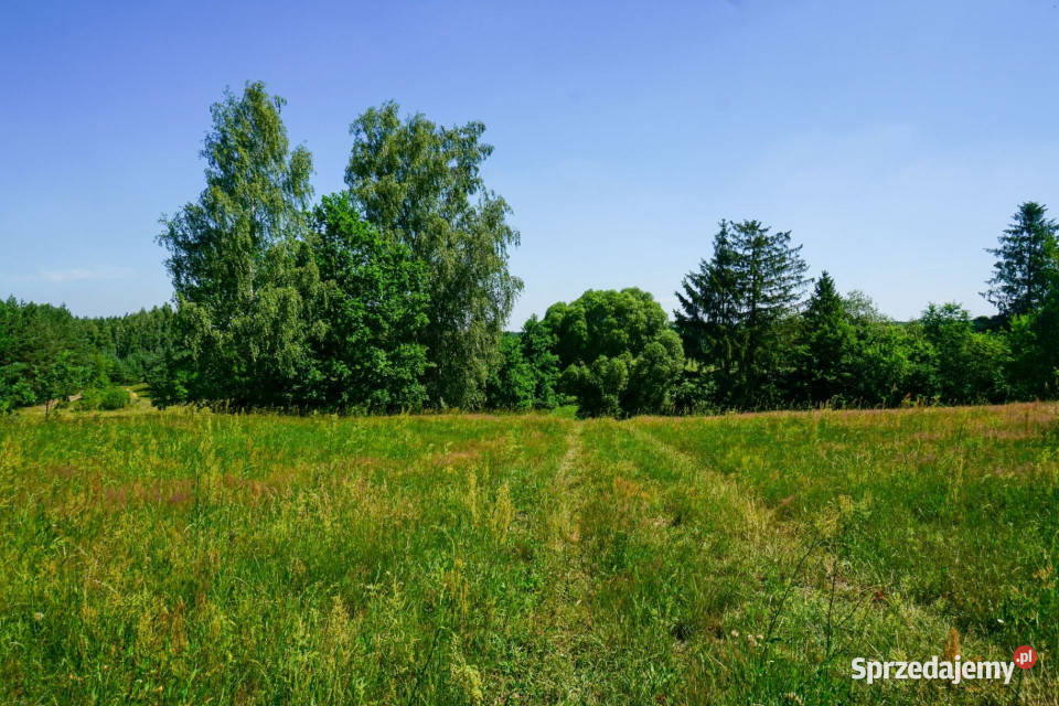 Działka z warunkami zabudowy i terenem 11ha 412m Suliszew sprzedam