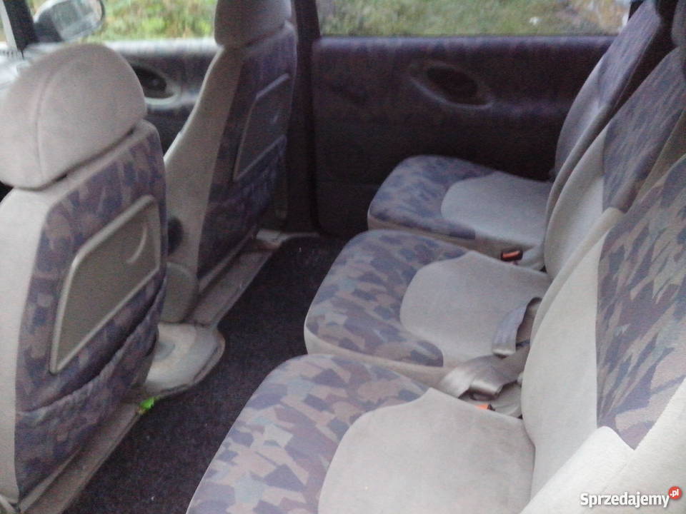 sprzedam Komodzianka