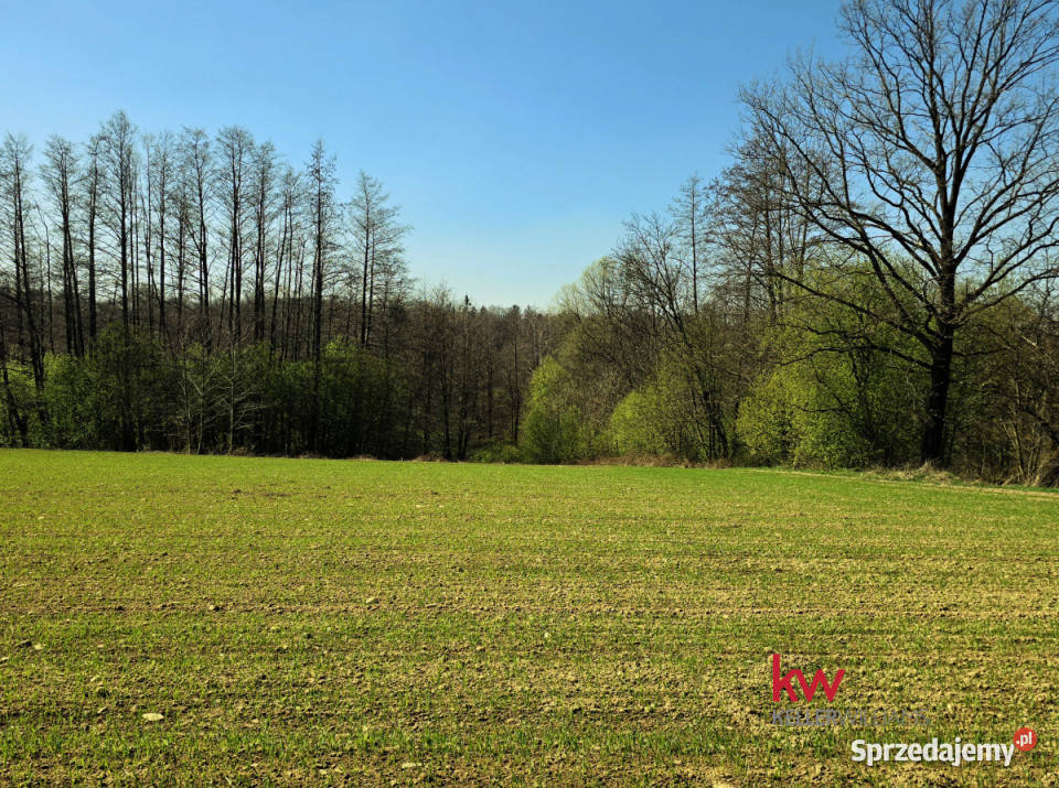 sprzedaży gruntu 3040m2 Świętoszówka