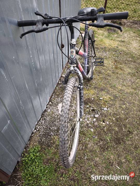 Rower Tecno Bike dune 26 ciekawe malowanie
