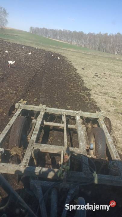 Talerzówka bdt rosyjska nieuszkodzony Rolnictwo Puńsk sprzedam