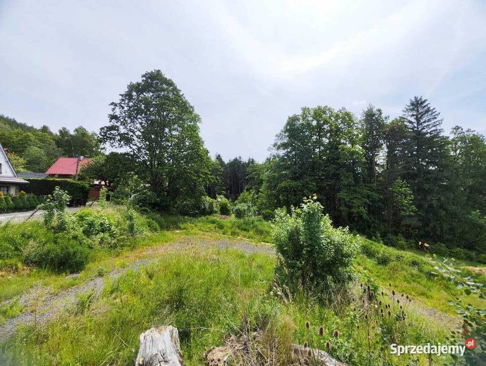 Działka w górach w m Piechowice Górzyniec 3421m2 Sprzedaż