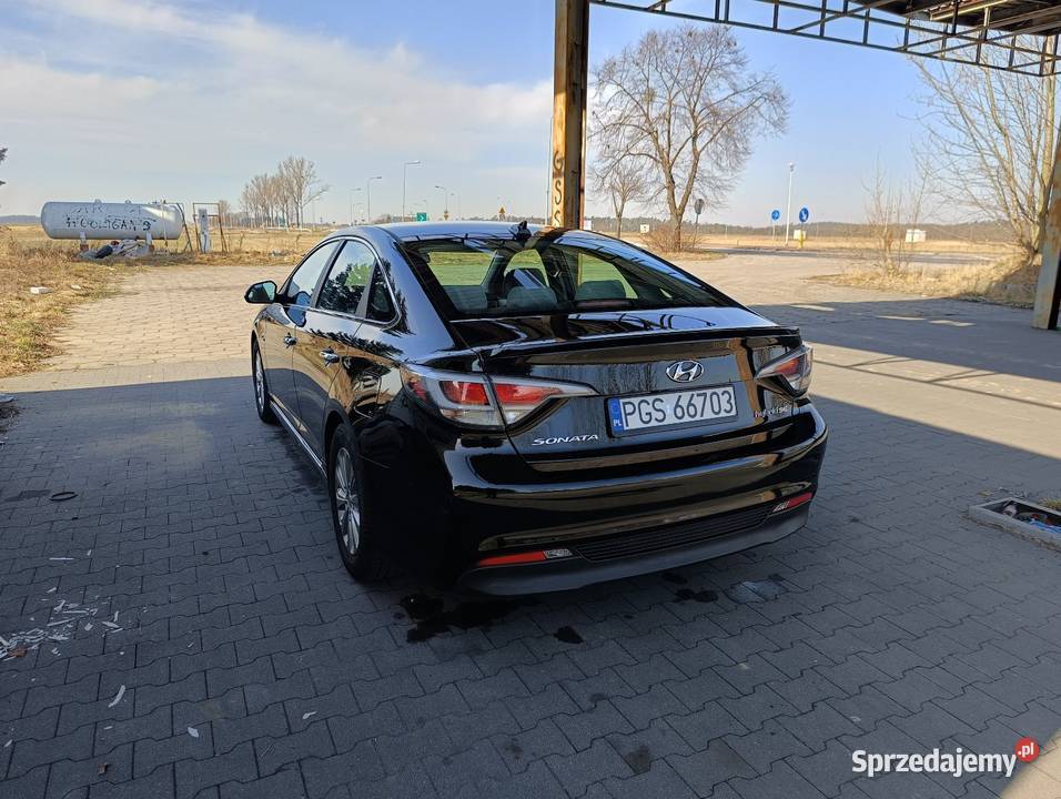 Hyundai Sonata 20 Hybryda Mały Przebieg