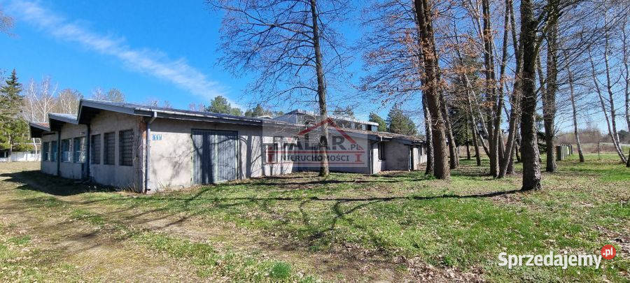 Dom Sierzchów Sierzchów 1200m2 6666zł/m2 sprzedam