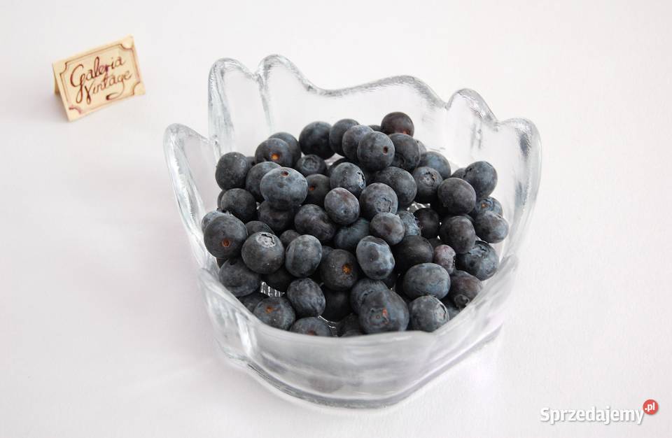 Kryształowa miska pień drzewa vintage design przezroczysty Miski Lublin