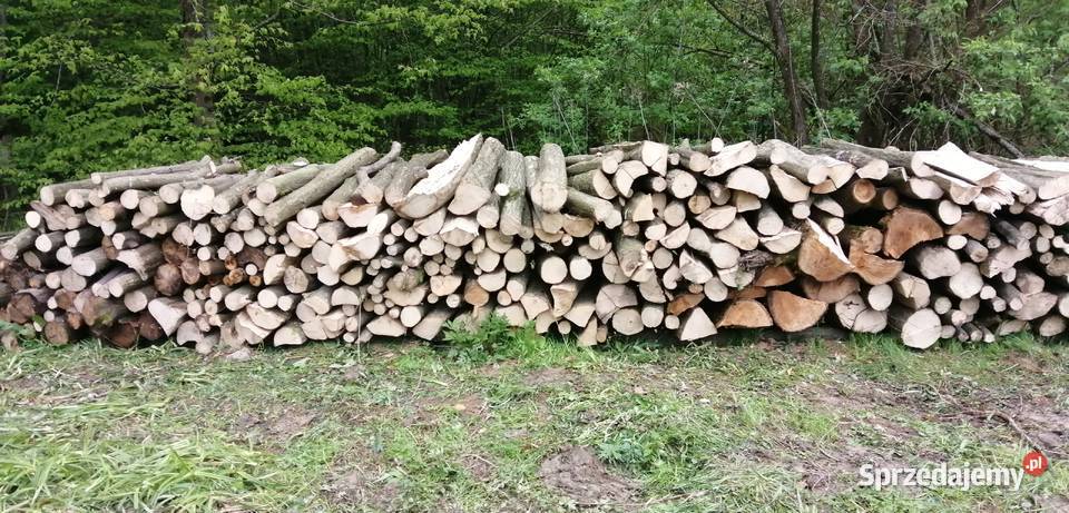 Drewno opałowe Sanok sprzedam