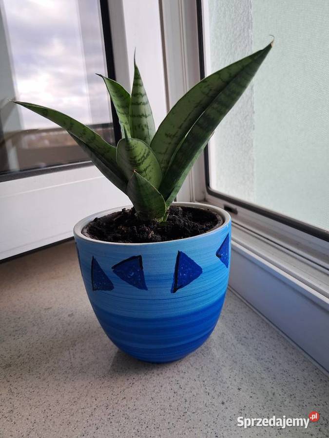 Ładna osłonkadoniczka kwiatek Doniczki i osłonki Warszawa