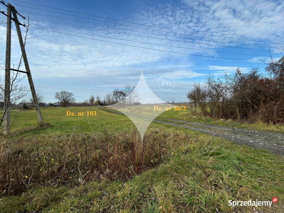 Dwie działki w Żukach rolna i pod zabudowę lubelskie Żuki sprzedam