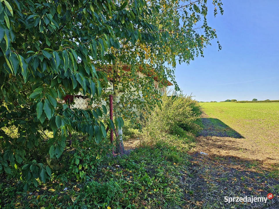 Działka Nałęczowa z rozpoczętą budową domu Wojciechów