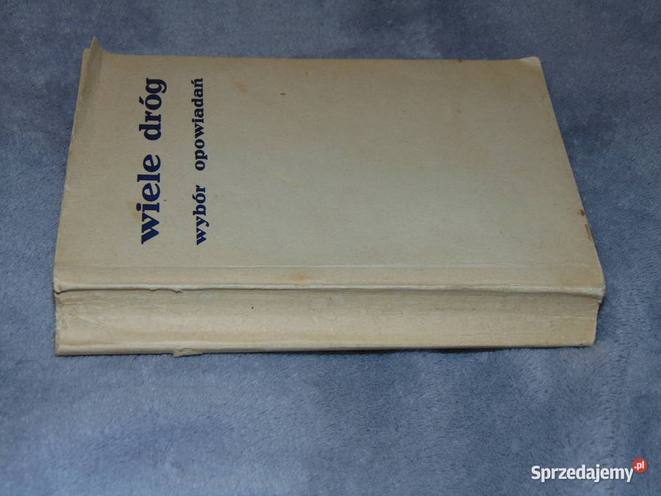 Wiele dróg zbiór opowiadań Czermińska Minkowski Lublin