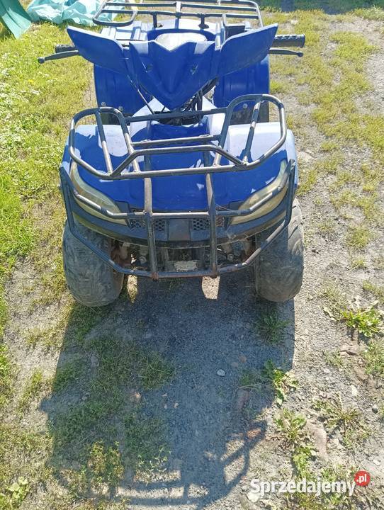 Quad pomorskie Malbork