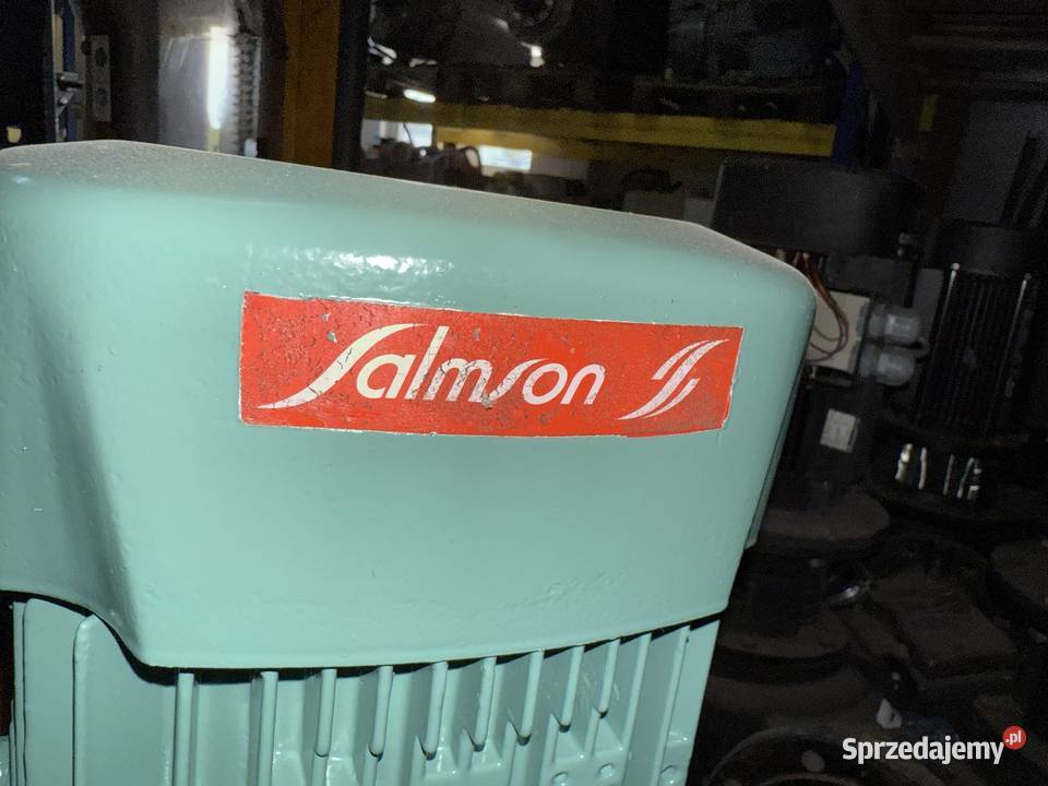 Pompa obiegowa Salmson SIL206124TRANE Q 48 90 mh mazowieckie Wałsnów