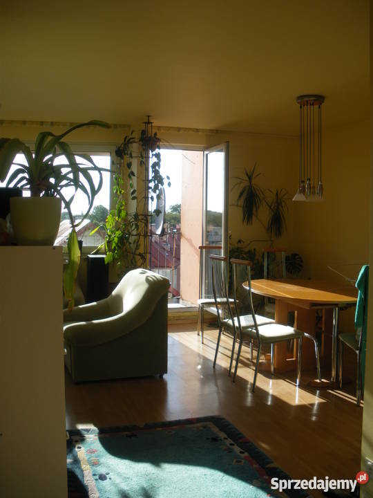 Sprzedam Mieszkanie w Olsztynku Centrum własność Olsztynek