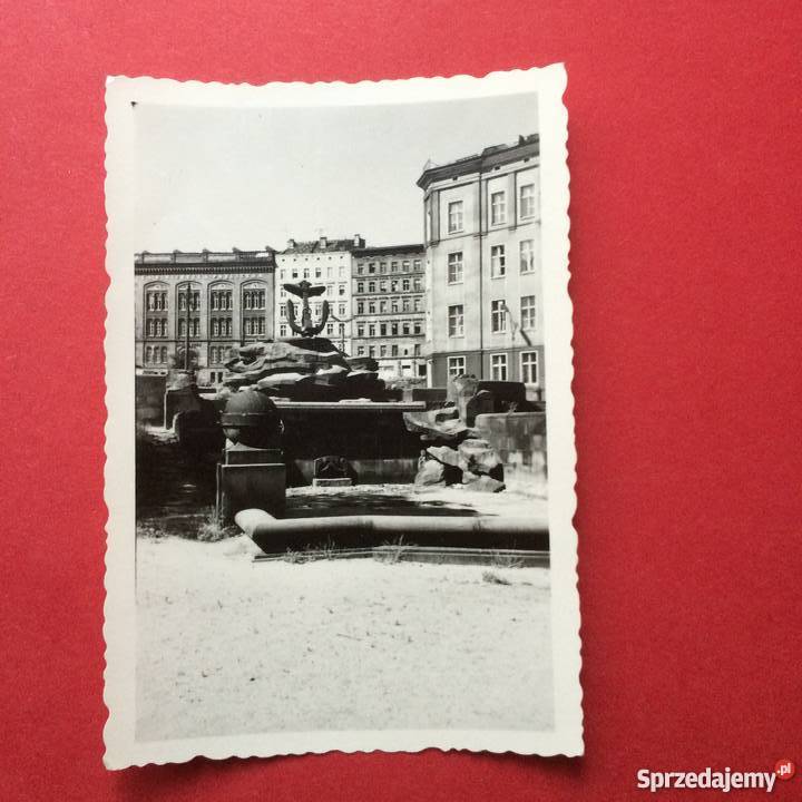 Komplet fotografii Szczecin