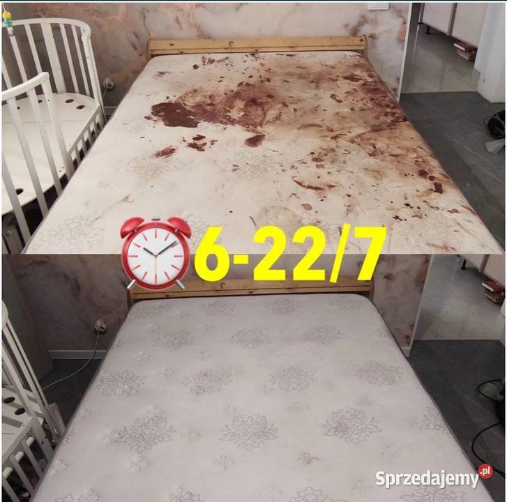 Pranie Tapicerki Czyszczenie Kanap Narożników Pranie dywanów, wykładzin, tapicerki Płońsk