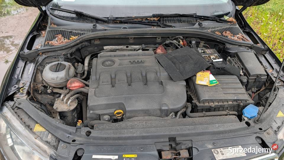 Skoda Octavia III 16 Tdi 2015r mazowieckie Warszawa