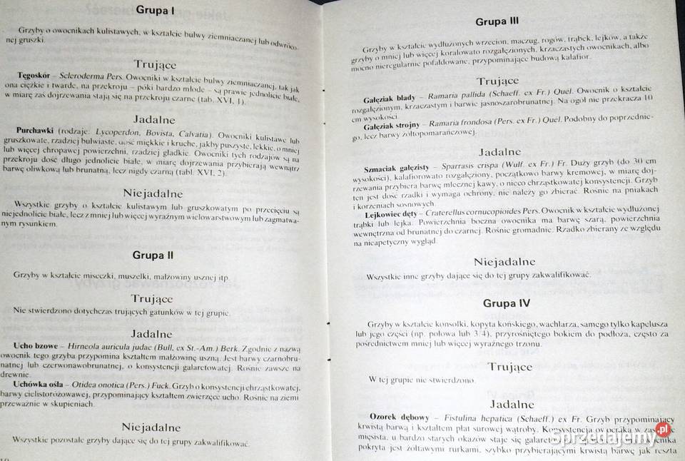 Grzyb jadalny czy trujący Zbigniew Domański Rok wydania 1988 Chełm