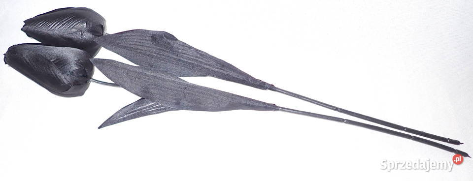 Tulipan czarny sztuczny Długi okazały 52 czarny Siewierz