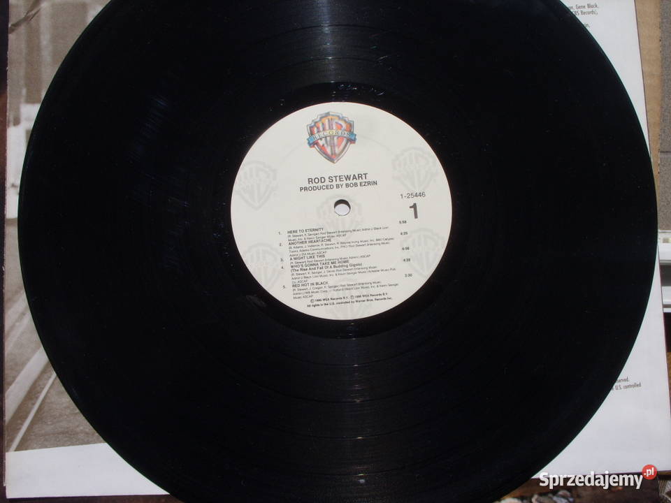 Winyl lp Rock ROD STEWARTHERE TO ETERNITY Warner rock Wołów