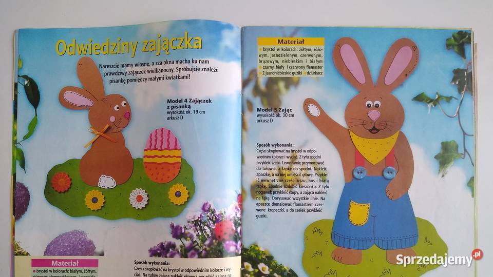 Hobby czasopismo dzieci 22006 Gdańsk