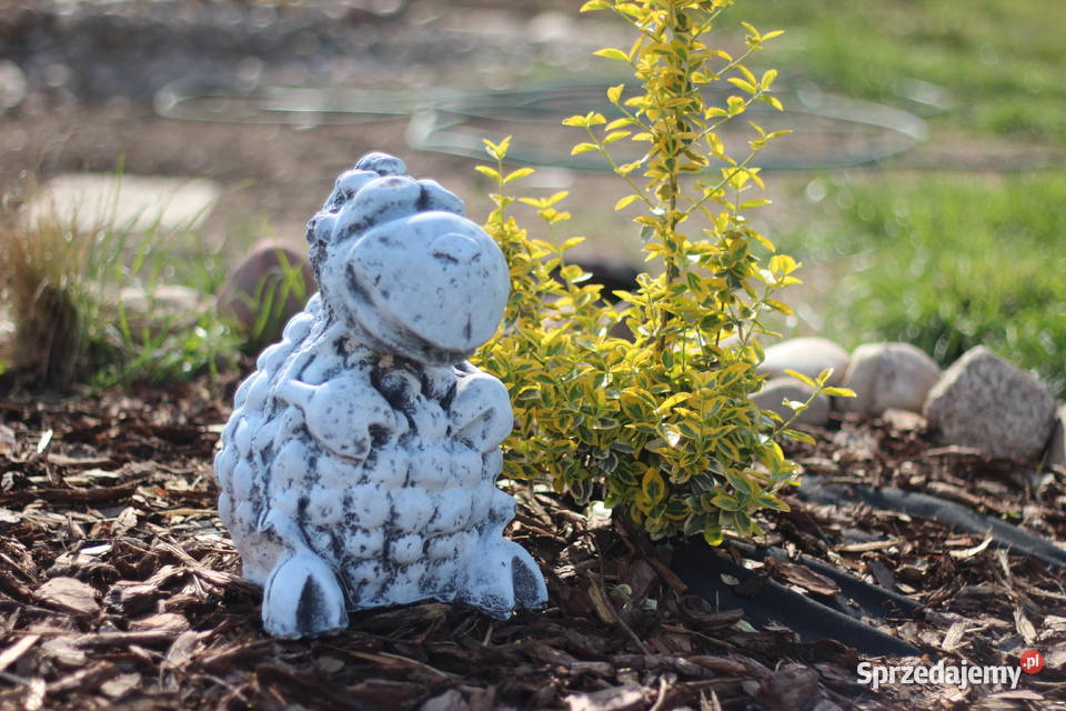 Figura ogrodowa baranek Goliszów sprzedam