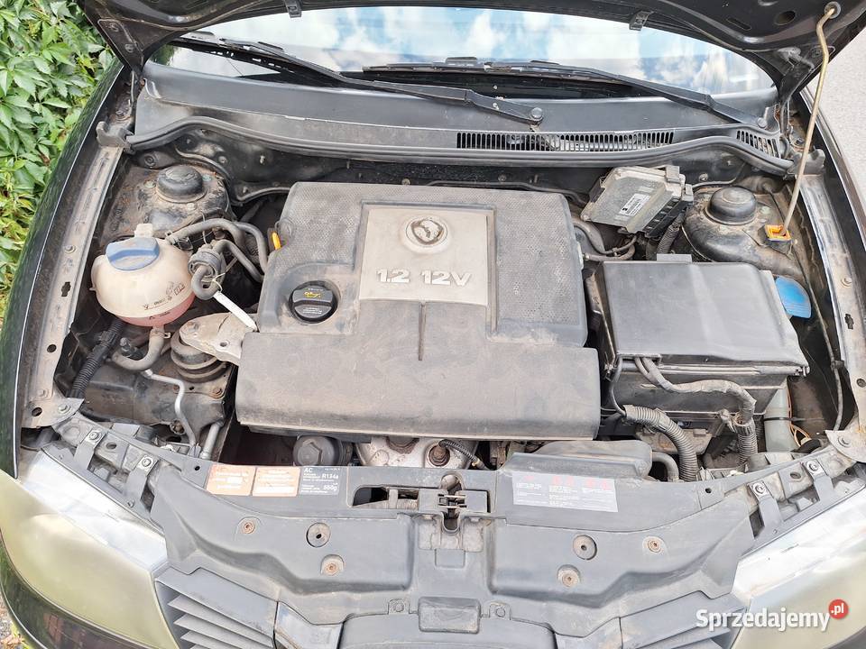 Seat Ibiza III 12 Benzyna radio Poznań