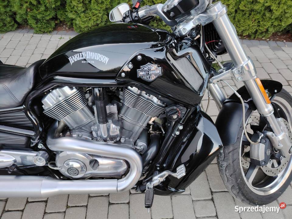 Harley davidson vrod muscle Szprotawa