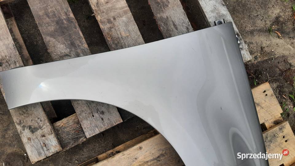 błotnik prawy lewy Renault Scenic III przedni Błotniki Dębno sprzedam