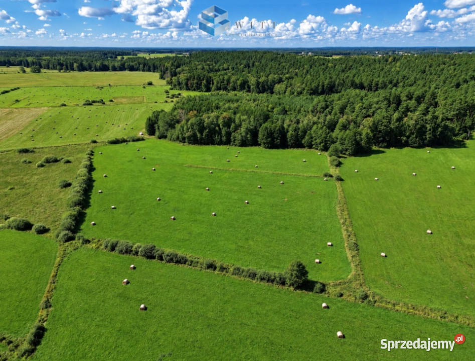 Działka Liwa 31400m2 Sprzedaż warmińsko-mazurskie sprzedam