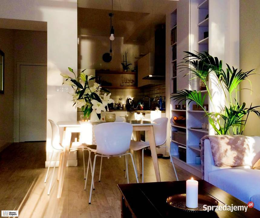 2pok 50met Parku Tołpy PIWNICA Wrocław