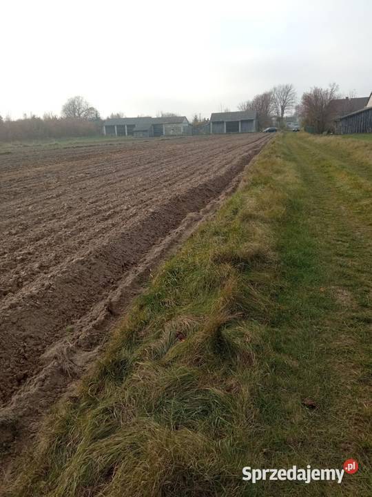 Siedlisko 042 hektara 4200m2 Sprzedaż Parczew sprzedam