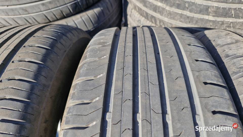 21560R16 95H Continental ContiEcoContact 5 60 Myszadła