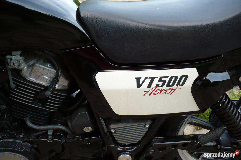 Honda vt 500 Ascort